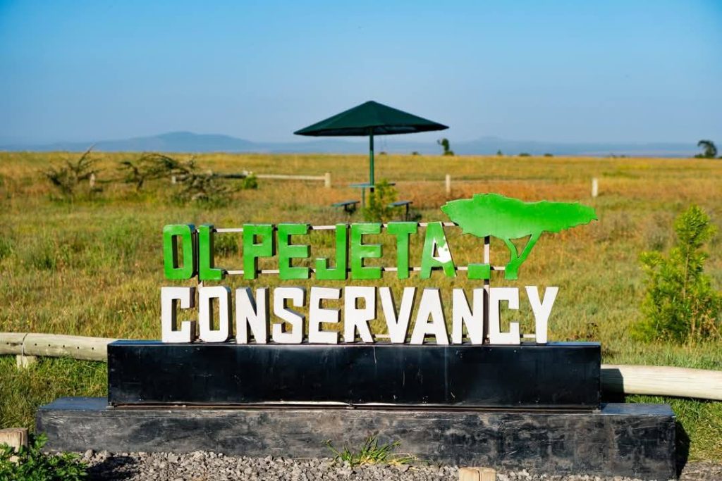 Ol-Pejeta-Conservancy-in-laikipia-kenya