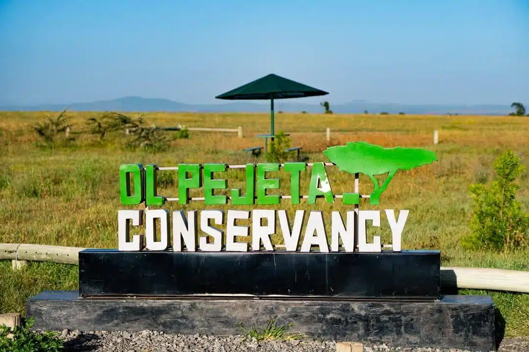 Ol-Pejeta-Conservancy-in-laikipia-kenya
