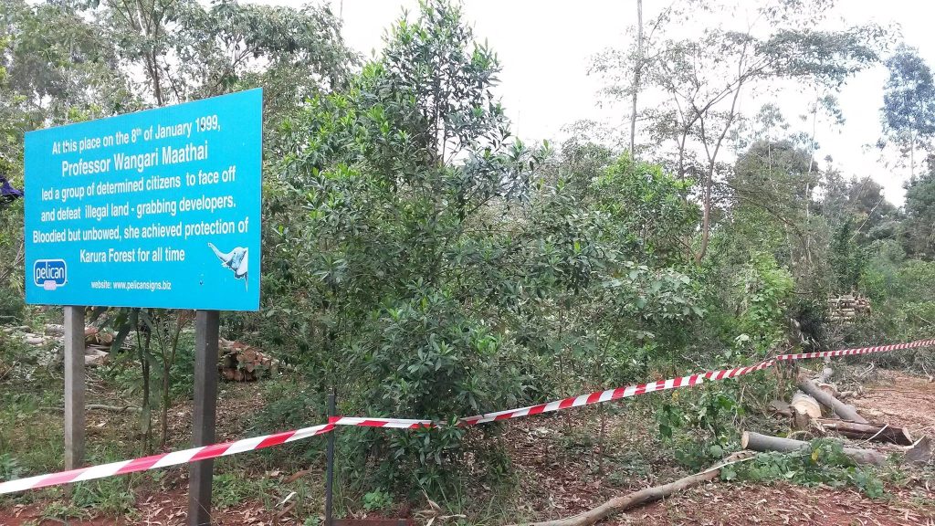 a-signpost-honoring-prof-wangari-mathai