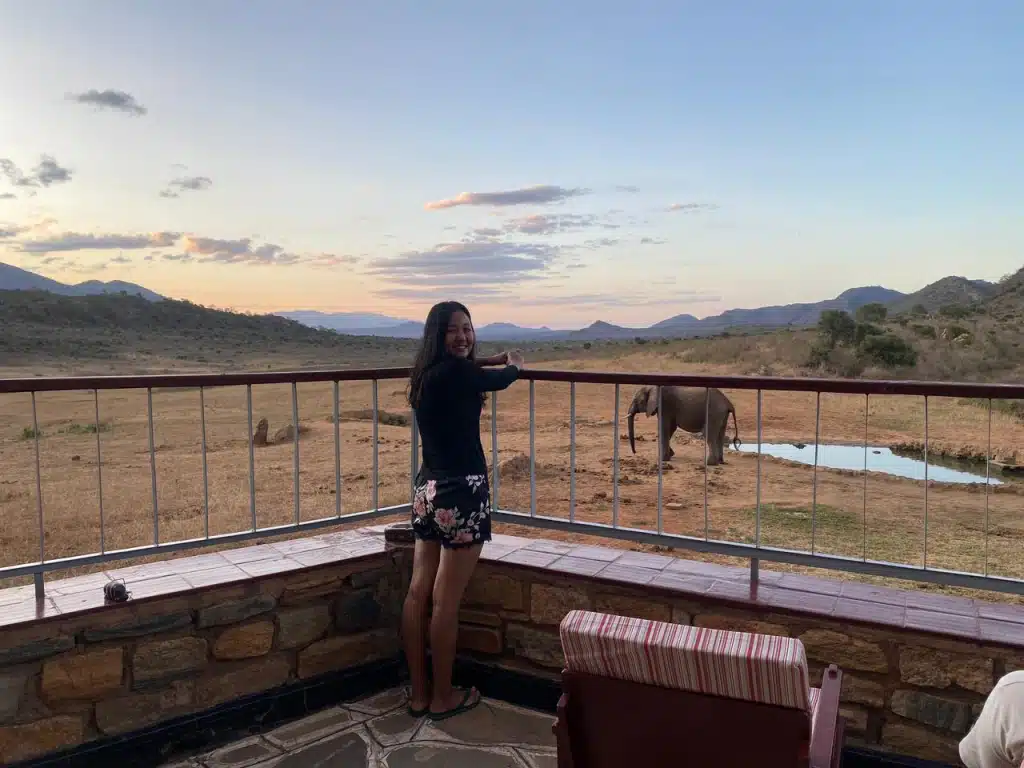 Guest enjoying close-up elephant sightings from a safari lodge overlooking the savannah