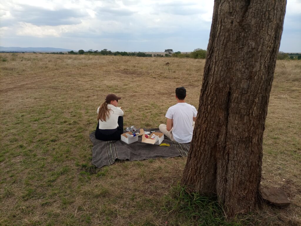 Safari guests enjoying a picnic lunch in an open savannah during a guided safari
