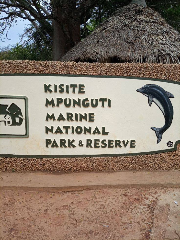 Kisite-mpunguti-home-of-dolphins
