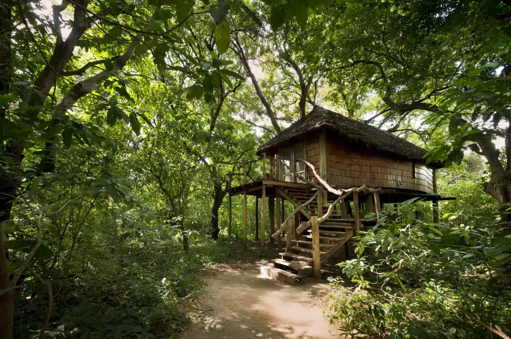 Lake-Manyara-Tree-Lodge