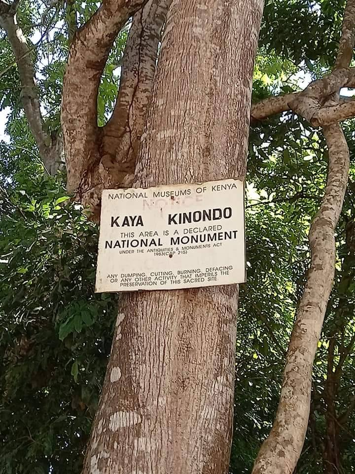 kaya-kinondo-at-kenya-coast.