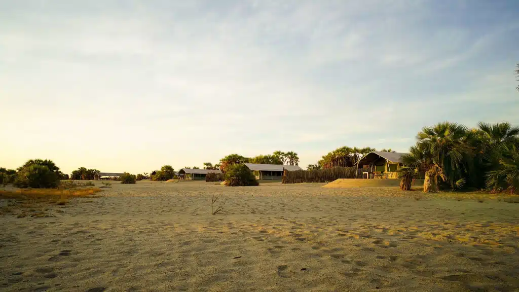 lobolo-camp-popular-accommodation-in-sibiloi-national-park