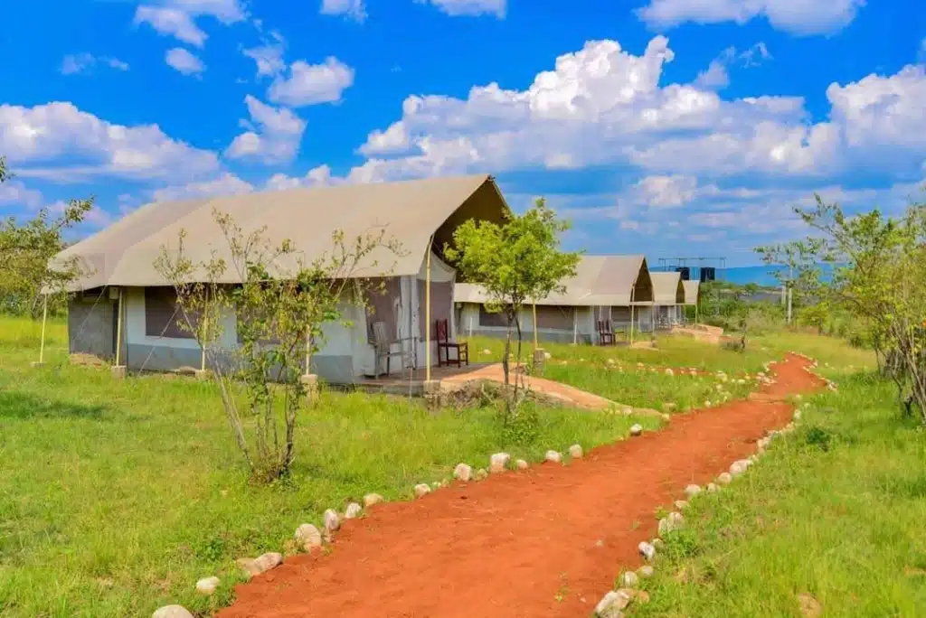 Flair Camp experiences in Masai Mara offering affordable and comfortable budget safari accommodation in Kenya