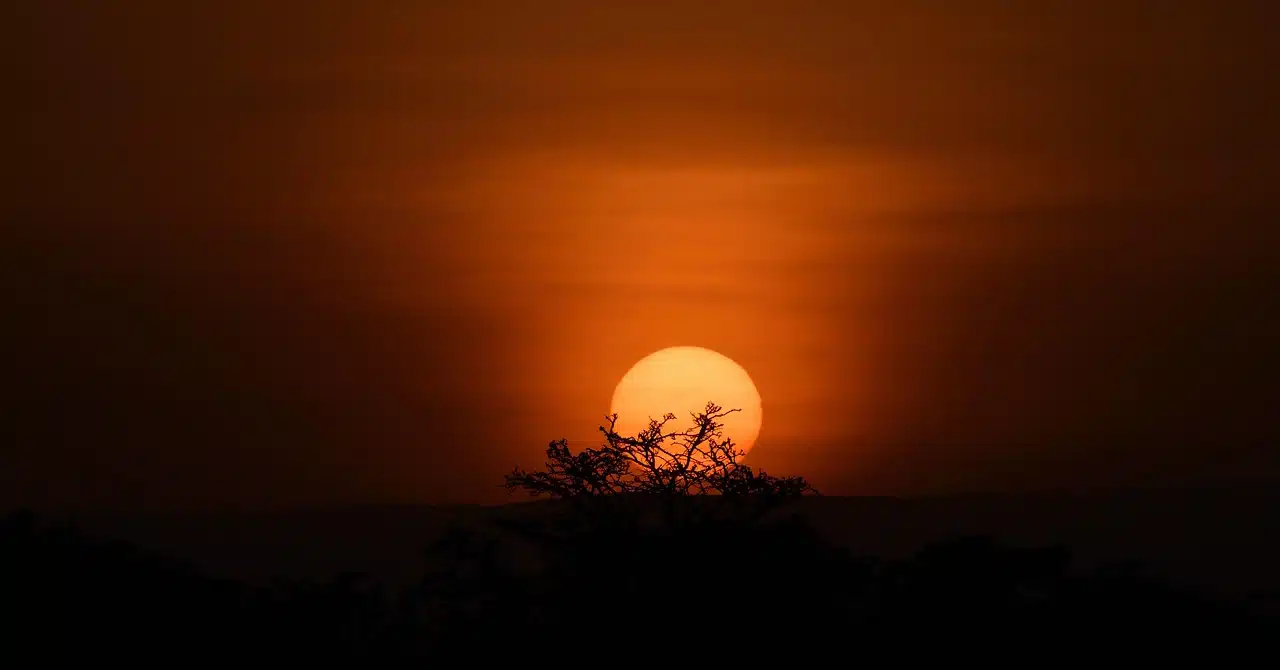 Kenya Safari Packages: Compare Budget, Mid-Range & Luxury Options (2026 Guide)