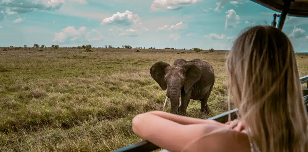 Multi-Country Safari Packages: Private safari encounter with an elephant in Tanzania’s Serengeti