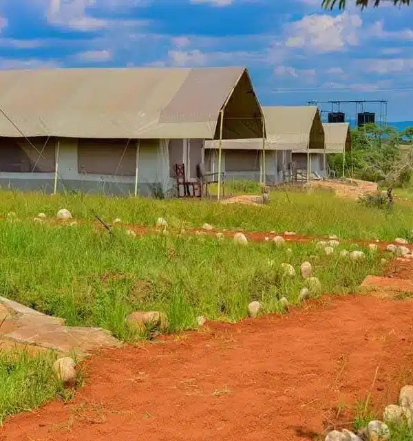 Flair Camp budget safari tents in Kenya with scenic savannah backdrop