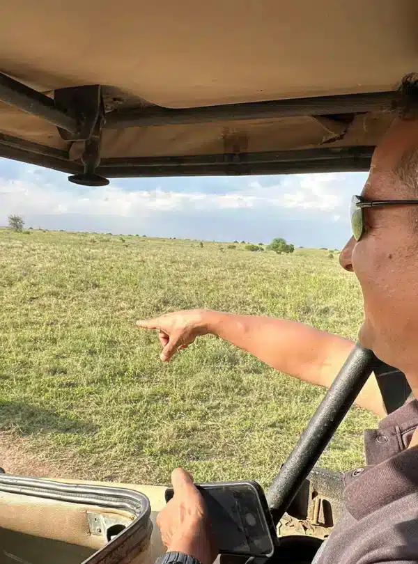 Traveler on a Nairobi National Park game drive pointing at a lion during the Affordable Nairobi Layover Safari.