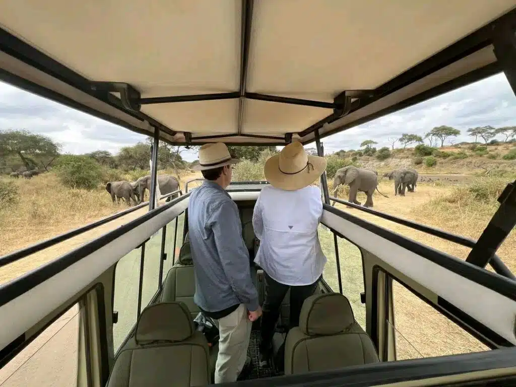Two safari guests standing comfortably in an open safari vehicle as elephants pass nearby during a game drive in Kenya.