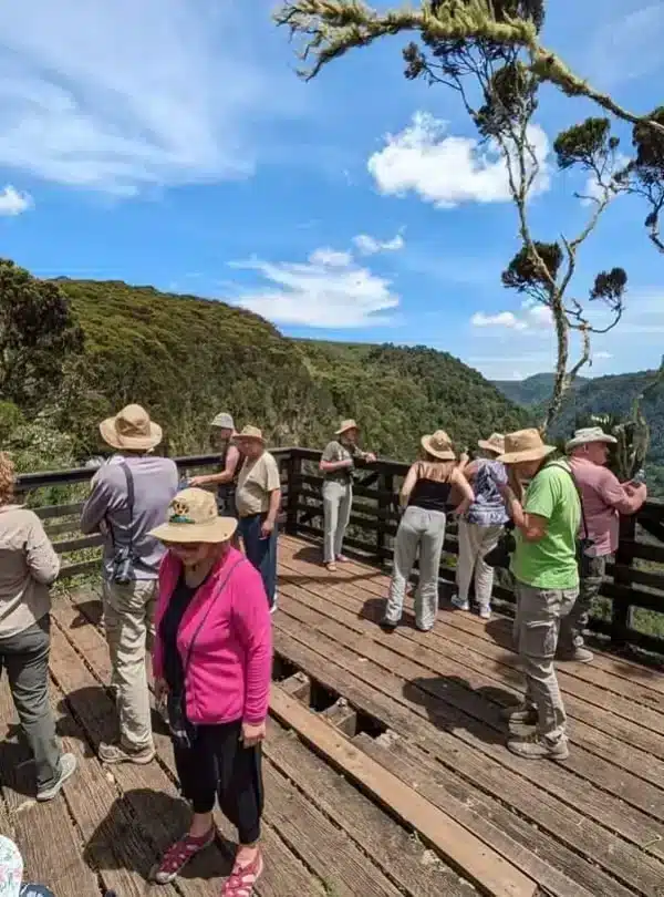 Visitors at a forest viewpoint in Aberdare National Park, Kenya.