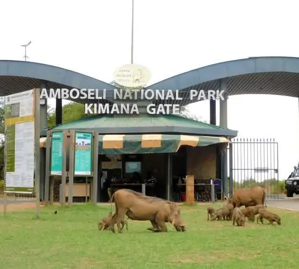 Amboseli National Park Kimana Gate with warthogs at the entrance
