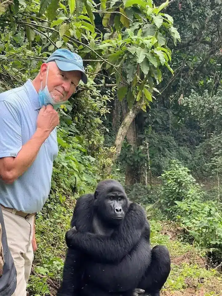 Mountain gorilla encounter during a Bwindi Impenetrable Forest trekking experience in Uganda.