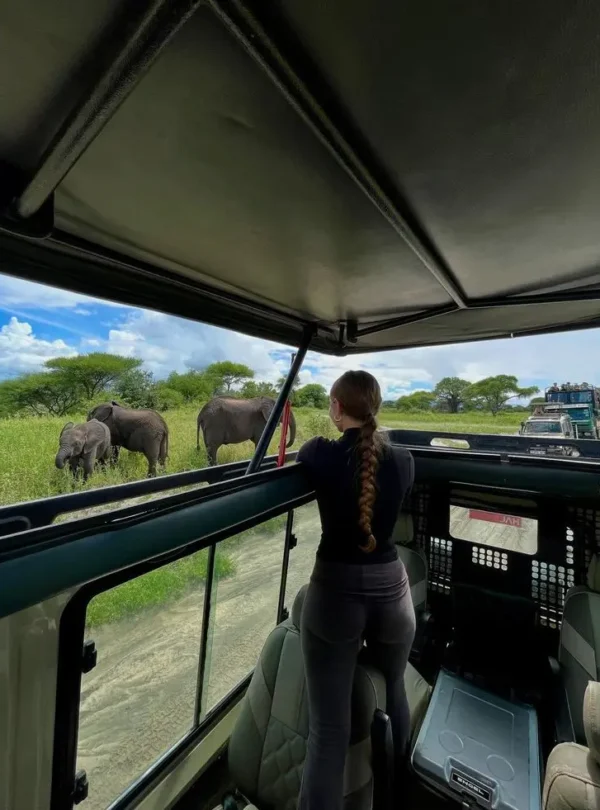 Elephants up close from a safari vehicle on a 12-Day Kenya Safari