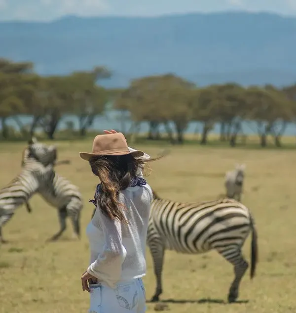 Walking safari with zebras at Crescent Island on Lake Naivasha.