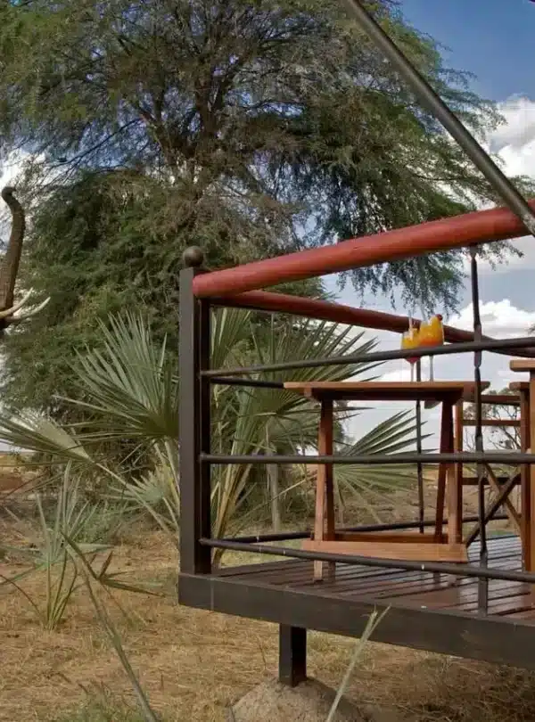 Elephant reaching for branches next to a wooden lodge deck at Ashnil Samburu, a signature dry-country safari experience.