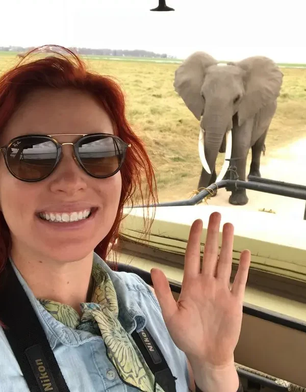 Close elephant viewing in Amboseli during a 14-day Kenya Tanzania Rwanda safari.