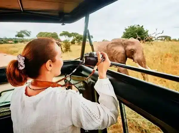 Traveller photographing an elephant from a private 4×4 on a 10-day Kenya safari.