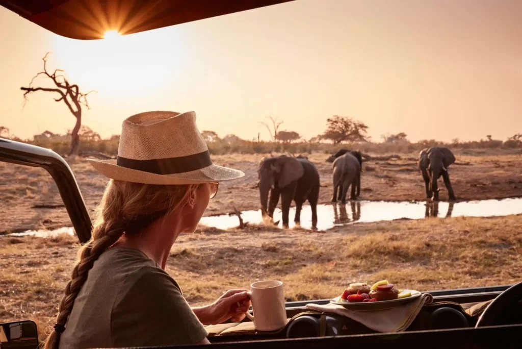 Woman enjoying coffee on private safari with elephants at a watering hole in golden light