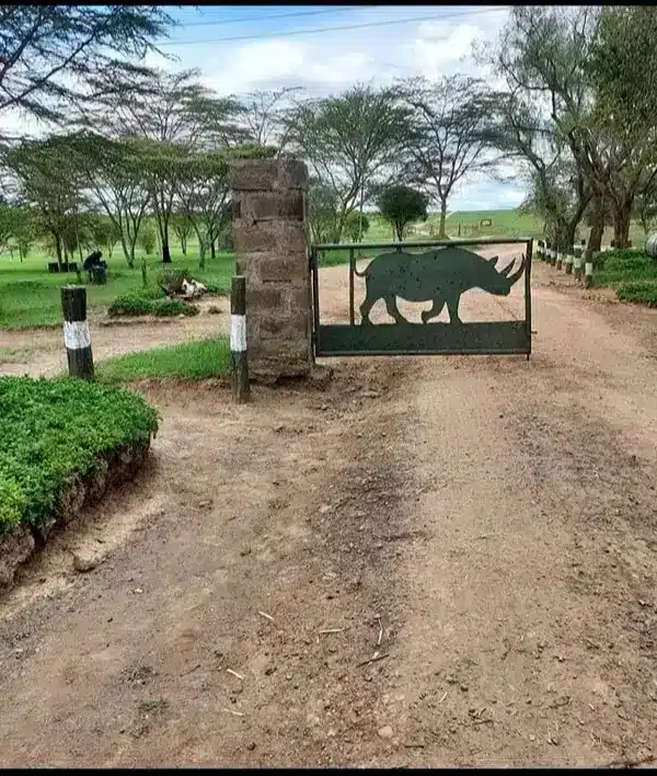 Rhino-themed entrance gate at Lake Nakuru National Park