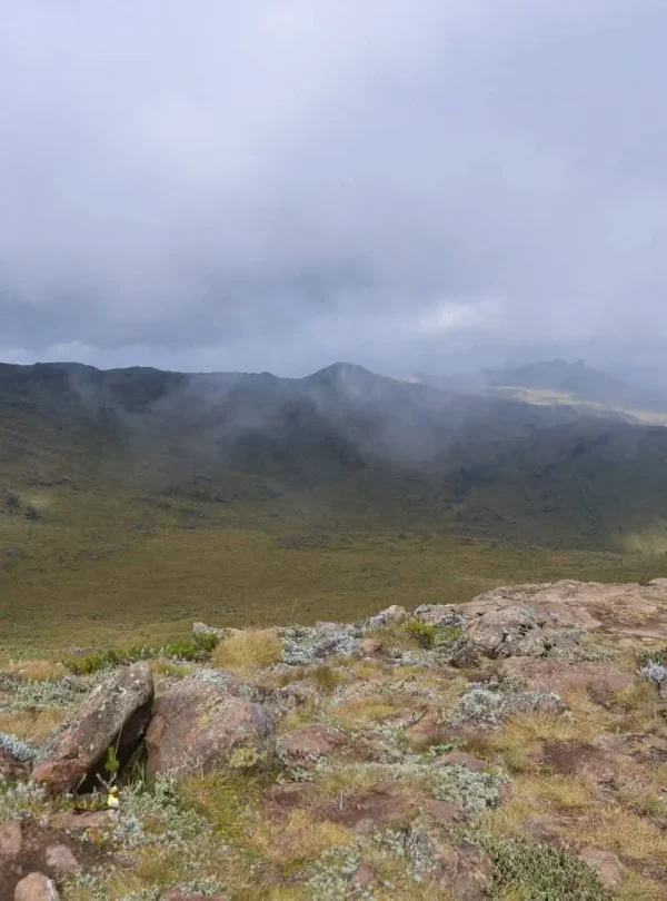 Park rangers overlooking misty highlands in Aberdare National Park.