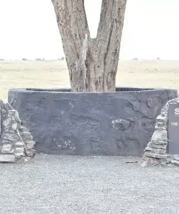 Memorial plaques for Suni and Sudan, the northern white rhinos at Ol Pejeta; Suni died in 2014 and Sudan, the last male, died in 2018.