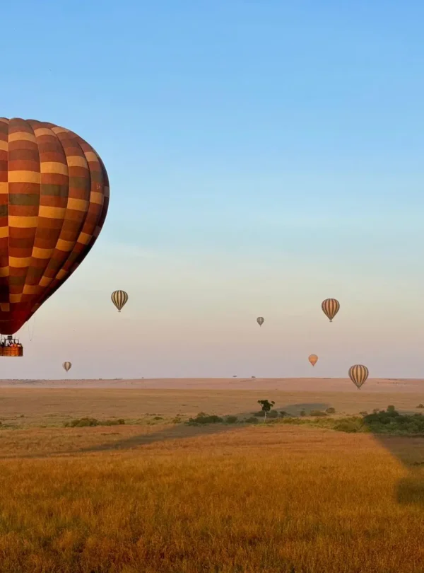 Hot air balloon ride at dawn on a Masai Mara fly-in safari