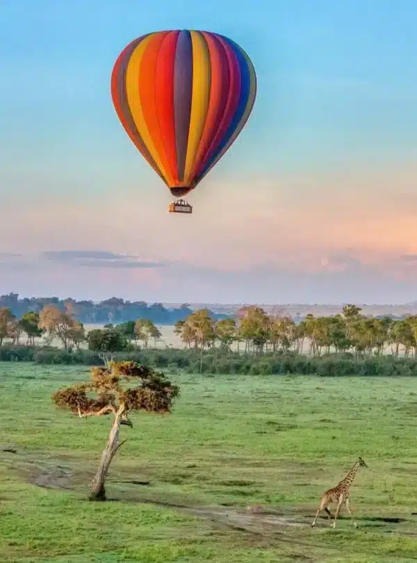 Hot-air balloon flight over the Masai Mara at sunrise with a giraffe below on a private 6-day Masai Mara safari.