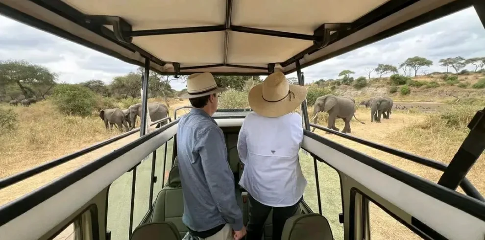 Guests on a Kenya road safari viewing elephants from a pop-up roof Land Cruiser