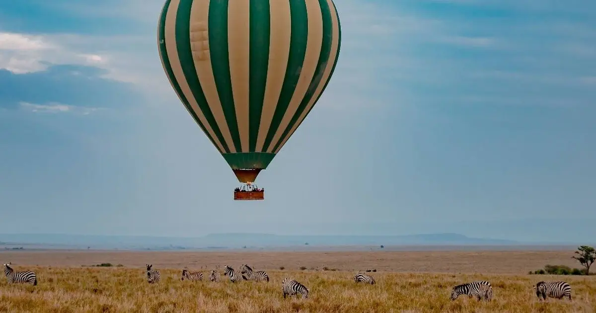 Hot air balloon safari over Masai Mara with zebras on the plains in Kenya