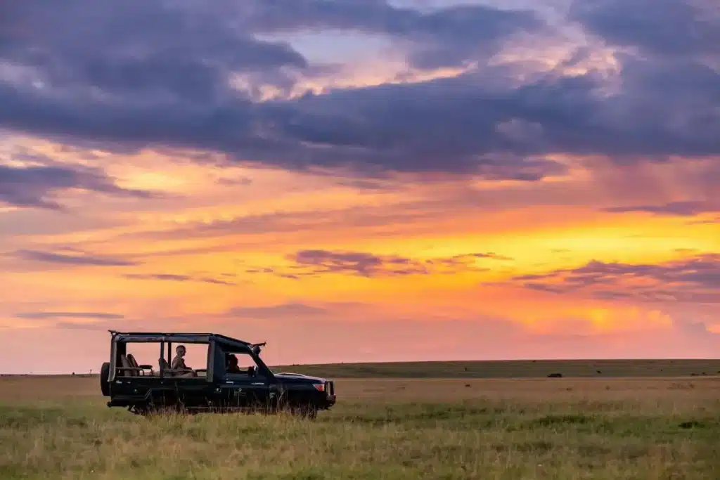 Safari vehicle on a game drive across the Masai Mara savannah at sunset in Kenya.